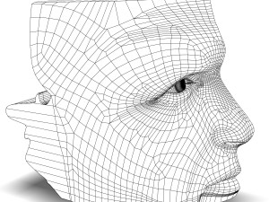 human nose anatomy 3D 모델