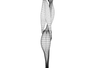 human knee joint antomy 3Dモデル