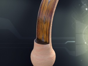 human hair anatomy 3D Model