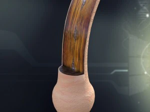 人类头发解剖学 3D 模型