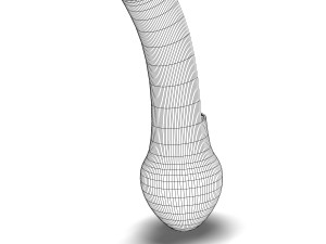 human hair anatomy Modelo 3D