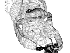 human female internal organs anatomy Modelo 3D