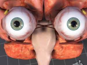 eye and brain Modèle 3D