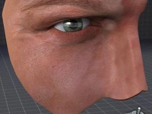 human four senses collection 3D Model