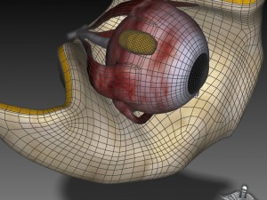 human four senses collection Modelo 3D