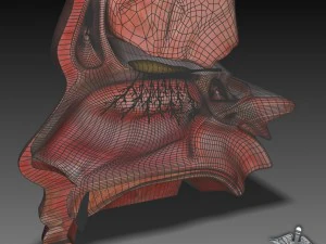human four senses collection 3D Model