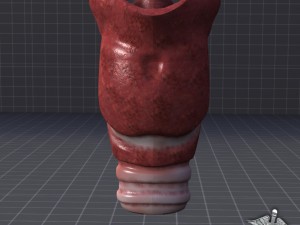 throat larynx 3D Модель