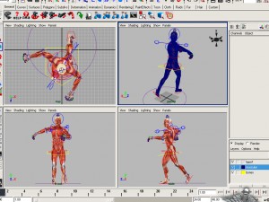 collection rigged - human male and female anatomy 3D Модель