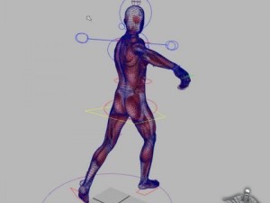 rigged - human male anatomy 3D Model