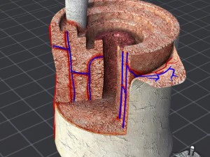 bone anatomy 3D Model