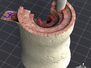 bone anatomy 3D Model