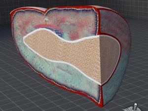 finger anatomy 3D Model