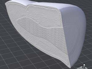 finger anatomy 3D-Modell