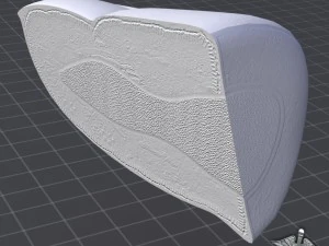 finger anatomy 3D Model