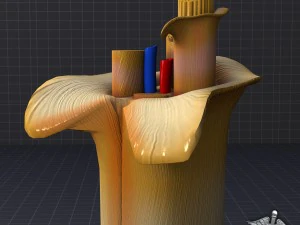 anatom&iacute;a nerviosa Modelo 3D