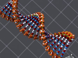 dna structure 3D-Modell