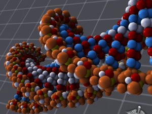 dna structure 3D-Modell