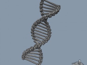 dna structure 3D-Modell