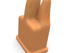 microbiology digestive villi 3D Model