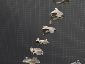 human cervical vertebrae Model 3D