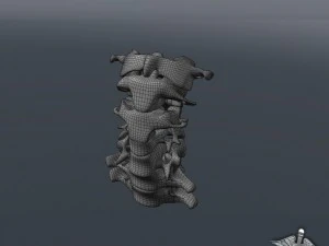 human cervical vertebrae 3D Model