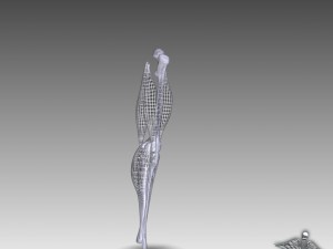 knee joint anatomy 3D Модель