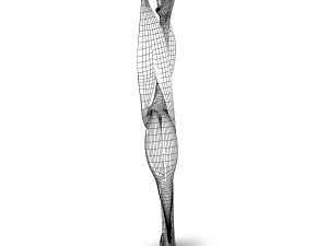 knee joint anatomy 3D Модель