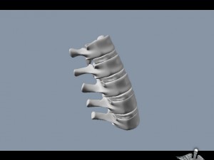 human lumbar vertebrae Modelo 3D