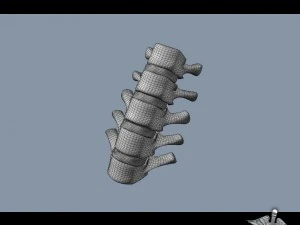 human lumbar vertebrae 3D Model