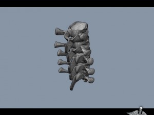 human lumbar vertebrae Modelo 3D