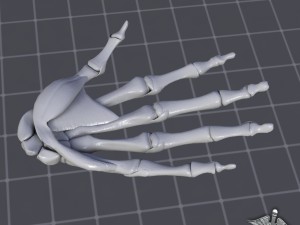 human hand bone and muscle structure 3Dモデル
