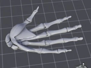 human hand bone and muscle structure 3D Model
