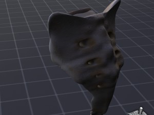 human sacrum vertebrae Modello 3D