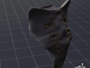 human sacrum vertebrae 3D Model