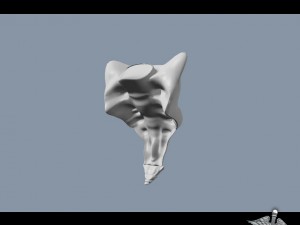 human sacrum vertebrae Modello 3D