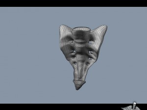 human sacrum vertebrae Modello 3D