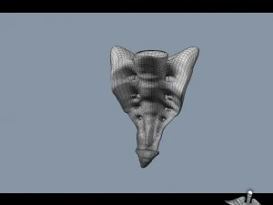 human sacrum vertebrae 3D Model