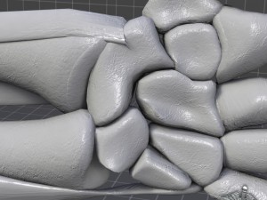human wrist bone structure Modèle 3D