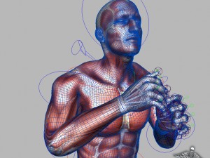 rigged - human male muscular system 3D मॉडल