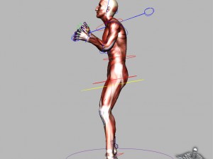 rigged - human male muscular system 3D मॉडल