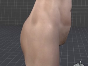 female pelvis Modèle 3D