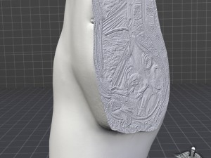 female pelvis Modèle 3D