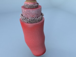 structure of a normal heart artery 3D Model