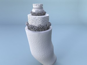 structure of a normal heart artery Model 3D