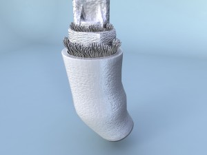 structure of a normal heart vein 3D Model