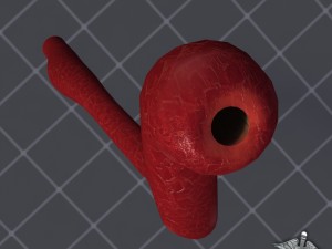 esophagus anatomy 3D Модель