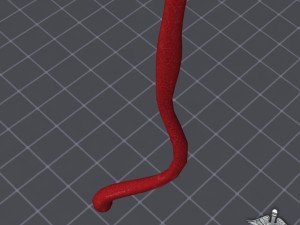 esophagus anatomy 3D Модель