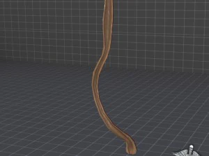esophagus anatomy 3D Model