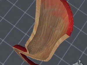 esophagus anatomy 3D Model