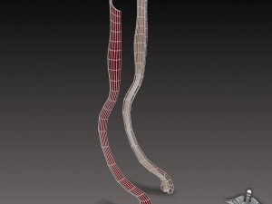 esophagus anatomy 3D Модель